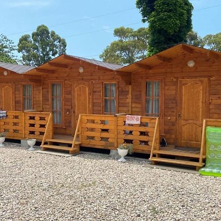 Гостевой Дом-Малина Hotel Gagra Kültér fotó